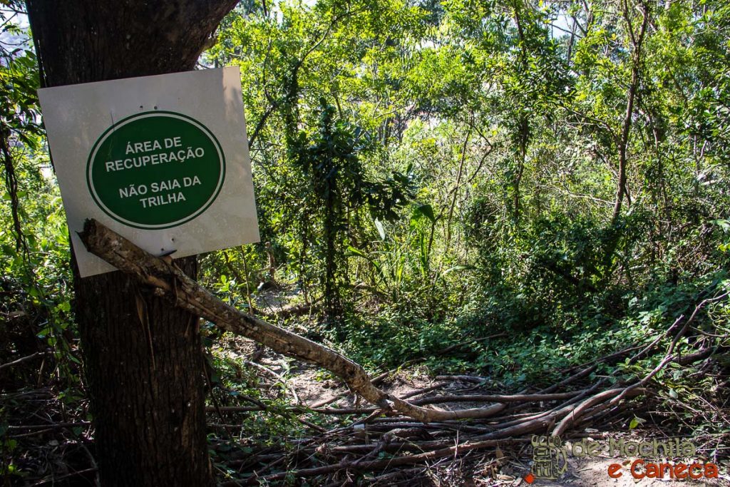 Recuperação ambiental - Trilha do Morro do Macaco morrodomacaco-29