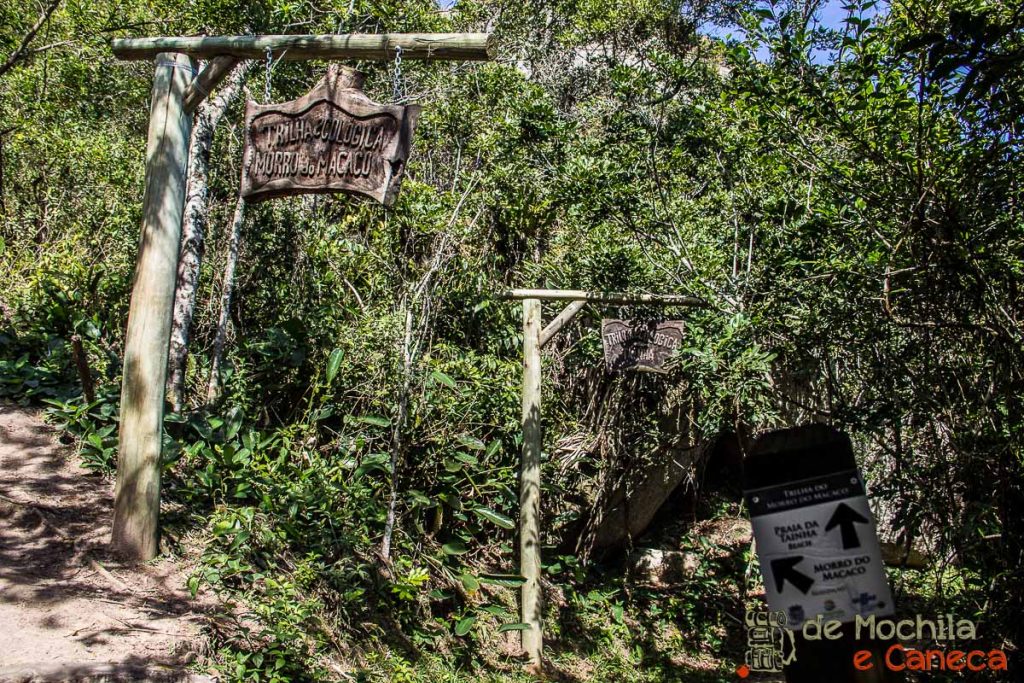 Bifurcação - Trilha do Morro do Macaco morrodomacaco-5