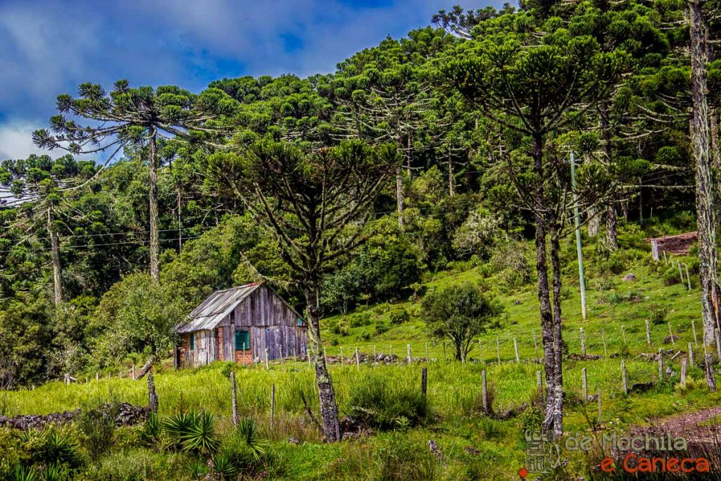 cambara do sul e praia grande