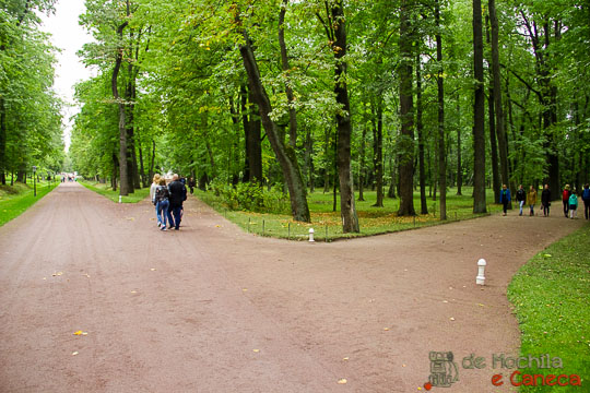 peterhof-72