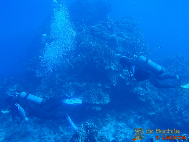 Mergulho O que fazer na Ilha de Páscoa- Atrações na Ilha de Páscoa