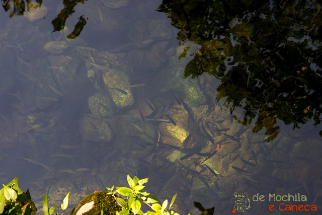 Reserva Natural Salto Morato-13