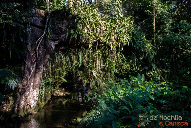 Reserva Natural Salto Morato-26