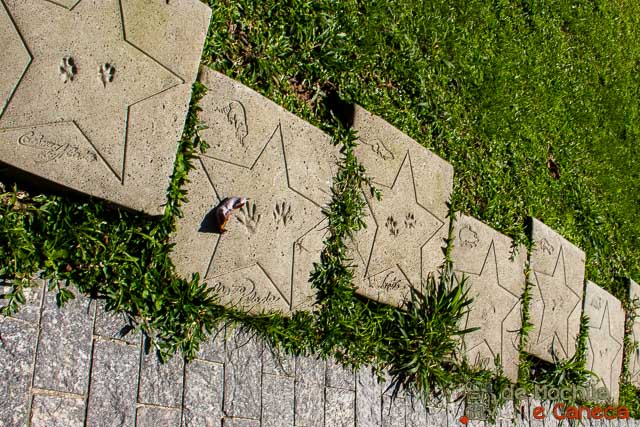 Reserva Natural Salto Morato-5