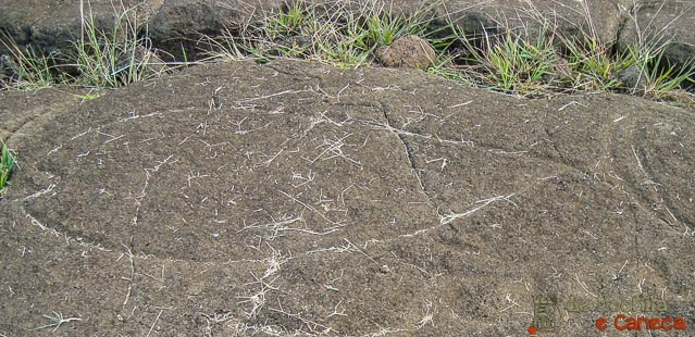 atrativos pra ver na Ilha