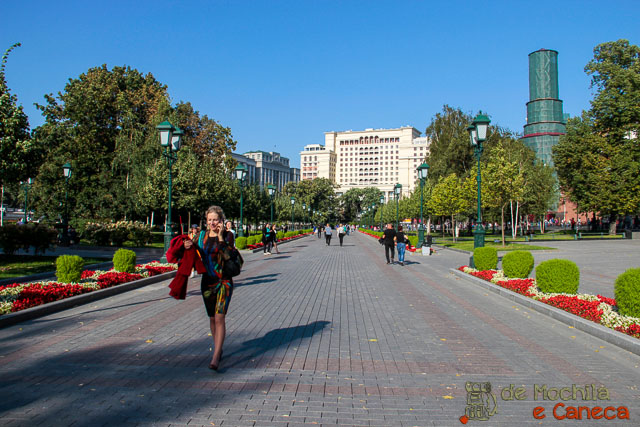 visitar o Kremlin de Moscou-15