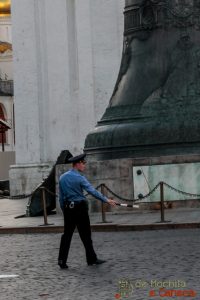 visitar o Kremlin de Moscou-35