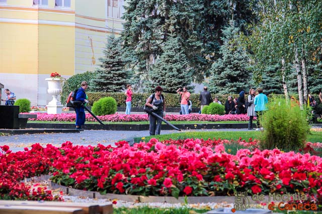 visitar o Kremlin de Moscou-38