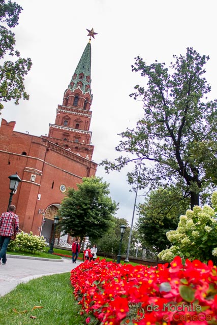 visitar o Kremlin de Moscou-8
