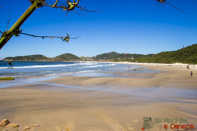 Praia do Rosa praia-do-rosa