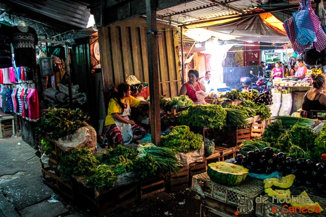mercado-4-de-assuncao-ervas e temperos