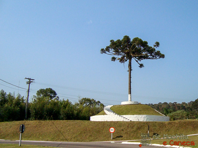 Pinheiro - Simbolo do Paraná Estrada da Graciosa - Pinheiro - Portal de Entrada