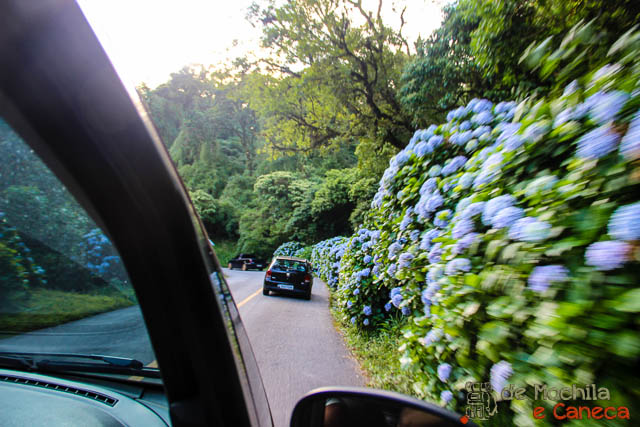 Estrada da Graciosa! estrada-da-graciosa-25