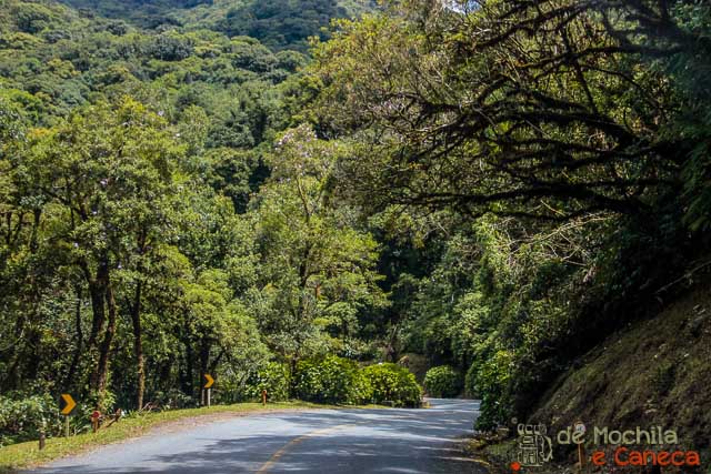 estrada-da-graciosa-8