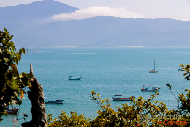 Trilha que vai da Praia do Canto Grande até a Praia da Tainha
