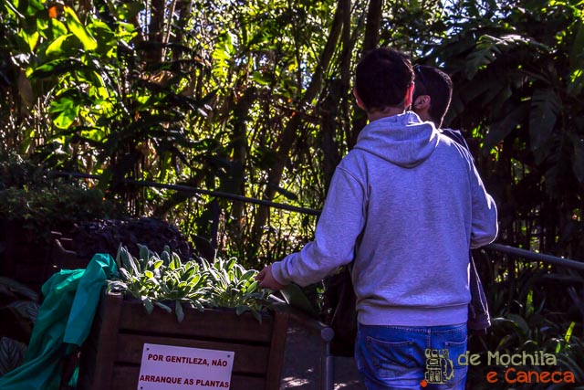 O que fazer em Curitiba - Jardim das Sensações 