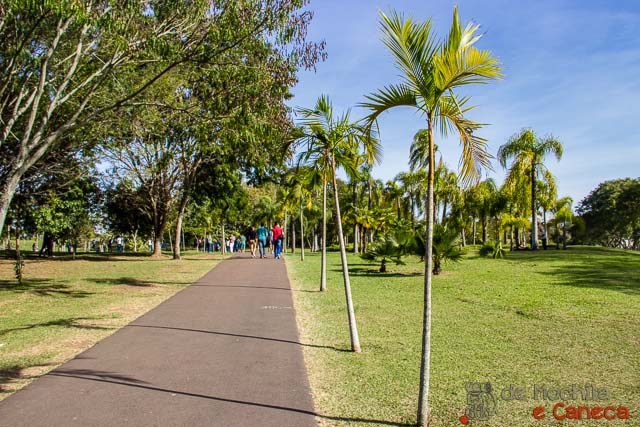 Trilha para fazer exercícios no Jardim Botânico de Curitiba trilha.