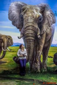 Museu 3d em Ciudad del Este-17