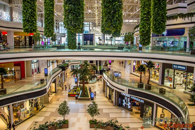 Shopping Paseo de la Galeria