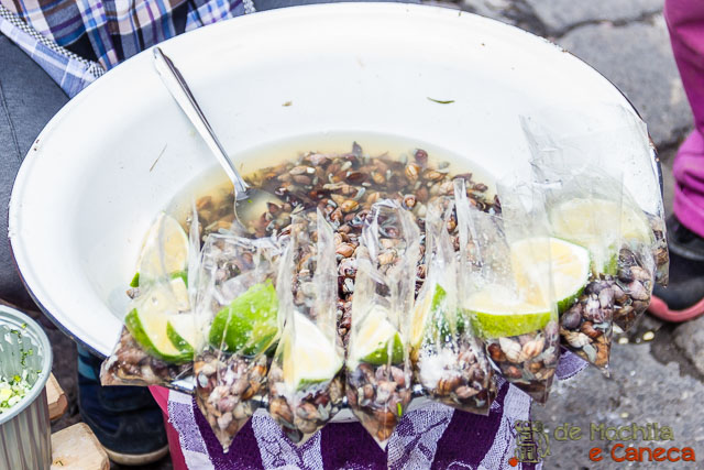 Escargot equatoriano. Otavalo Equador-escargot