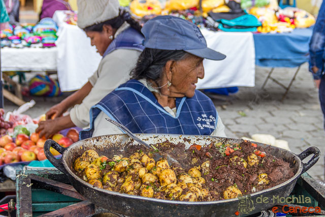 Carne com batatas Otavalo Equador-22