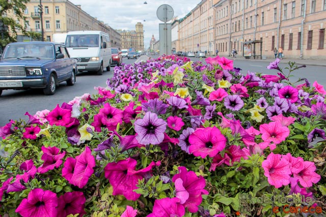 lugares imperdíveis para conhecer em São Petersburgo-flores