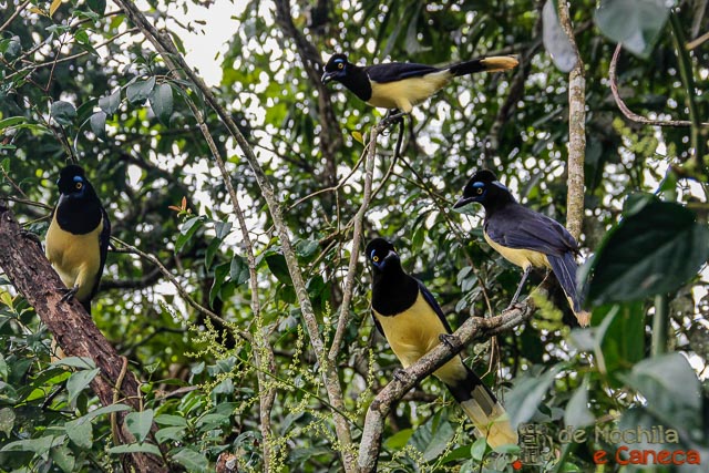 Qual lado é mais bonito??? Qual lado é mais bonito???