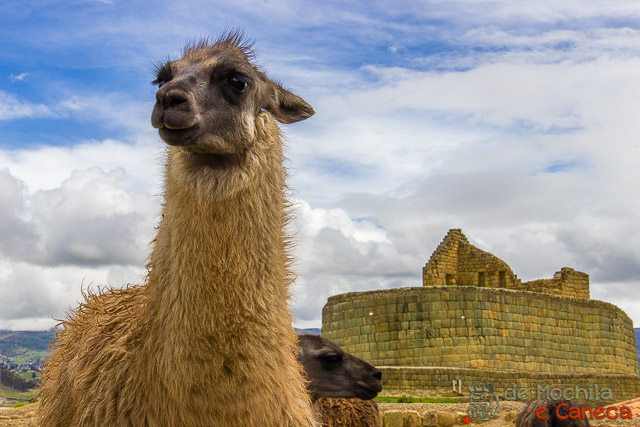 Ingapirca - Equador Ingapirca - Equador