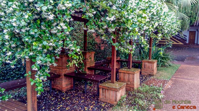 Área comum externa. Área comum externa.